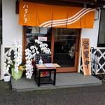 ハタトタ - まだ花が？開店したばかりかな？