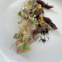 THE COSMOPOLITAN GRILL BAR TERRACE - 