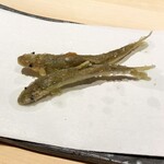 温石 - 稚鮎の唐揚げ