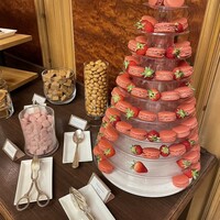 スプレンディード - 