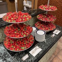 スプレンディード - 