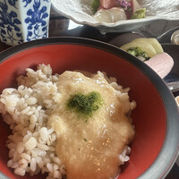 浅草むぎとろ 本店 - 青のりかけて麦とろごはん
