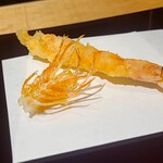 天冨良 麻布よこ田 - 