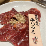 Yakiniku Horumon Yaba - 