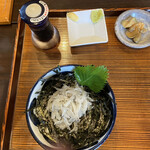 Teuichi Soba Kishin - 生しらす丼