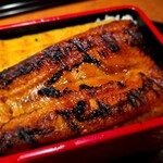 Tsukiji Dainingu Kinno Unagi - 