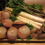 橦木町 しみず - 食材<三河の天然とり貝、西浦の浅蜊、ホワイトアスパラ、モミジガサ、コシアブラ>