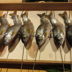 橦木町 しみず - 食材<郡上天然雨子、串打ち後>