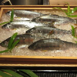 橦木町 しみず - 食材<郡上天然雨子(アマゴ)> 