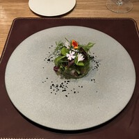 ARMONICO - 