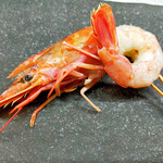 red shrimp