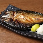Fatty large fatty tuna Kinka mackerel from Ishinomaki <one fish>