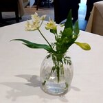 リストランテ ラ ソリア - （2023.5）