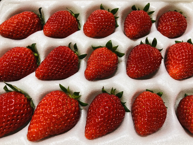 ふるや農園 - 郡山（その他）の写真