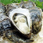 Shunsai Ryouri To Reta Shabu Dokoro Shishifunjin - 旬の岩牡蠣。夏に食べる巨大な牡蠣を生でどうぞ。