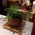 レストラン ペタル ドゥ サクラ - 