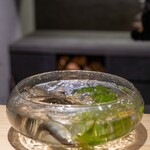 Makiyaki Kakehashi - Live Sweetfish (12 cm size) – June 2023