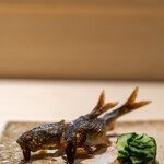 Makiyaki Kakehashi - Live Sweetfish (12 cm) Grilled over Firewood – Cucumber with Tosa Vinegar