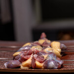 Makiyaki Kakehashi - Live Softshell Turtle – June 2023