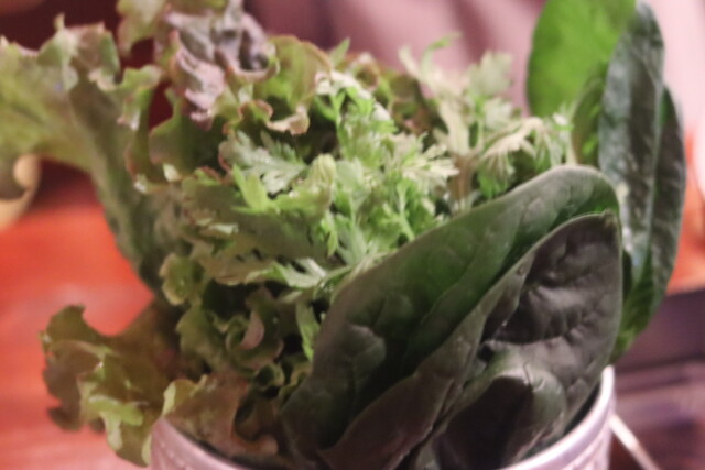 口コミ一覧 : ビビンバ小屋の写真