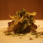 RISTORANTE IL NODO - 春キャベツ ジャガイモ もんざ丸のシラス 発酵 コリアンダーシードアップ