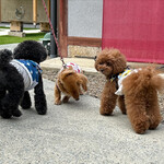 里山ホテル かねのね丹波 - 