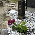 レストラン 牛石 - 庭の紫陽花。お店には関係ありません