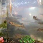 郷土料理ともん - 19時ごろは動きが鈍かったのが