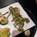 郷土料理ともん - タラの芽の下のはなんでしょ