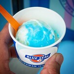 BLUE SEAL - 