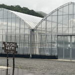 Taishi farm - 