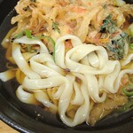 ふじ - きしめんに変更