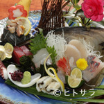 Uramasazushi - 旬魚の盛り合わせ
