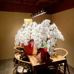 PRIMO PASSO - 2023年5月1日にオープンされたお店には、お祝いの胡蝶蘭がまだ綺麗に咲き誇っています。