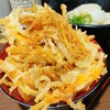 Sanuki Udon Tento - 