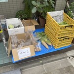 ヤゼット アグリ カフェ - 