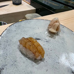 こい勢 - ガサエビ