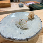 こい勢 - スルメイカ