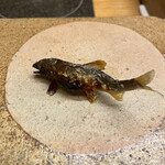 赤坂 菊乃井 - 昼懐石１５７３０円。鮎塩焼き。小さいのに、旨味、苦味、香りとバッチリで、とーっても美味しくいただきました（╹◡╹）（╹◡╹）