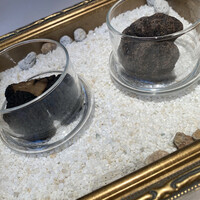 Terres de Truffes, Tokyo - 