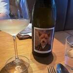 ドンブラボー - 