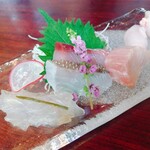 Sushi Dainingu Umami - 