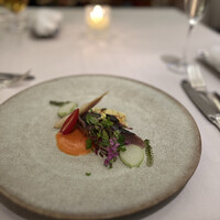 スプレンディード - 