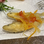 リストランテ アクアパッツァ - 