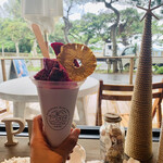 PAINAGAMA BLUEBOOTH - 