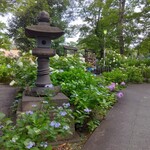 うどん家 八重桜 - 