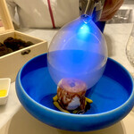 Maison DIA Mizuguchi - 