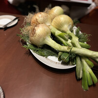 スガラボヴィー - 