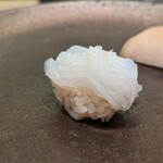 和香奈 - アオリイカ