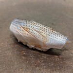 和香奈 - コハダ